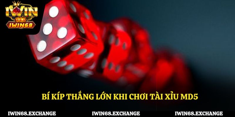 Bí kíp thắng lớn khi chơi tài xỉu md5