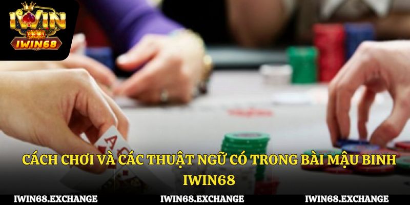 Cách chơi và các thuật ngữ có trong bài mậu binh Iwin68